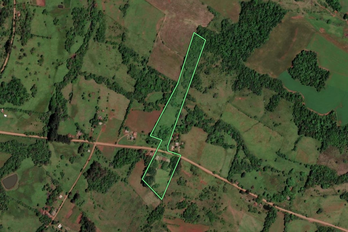 Imagem de satélite do imóvel rural em Rolador (RS), com o contorno declarado no CAR desenhado por cima.