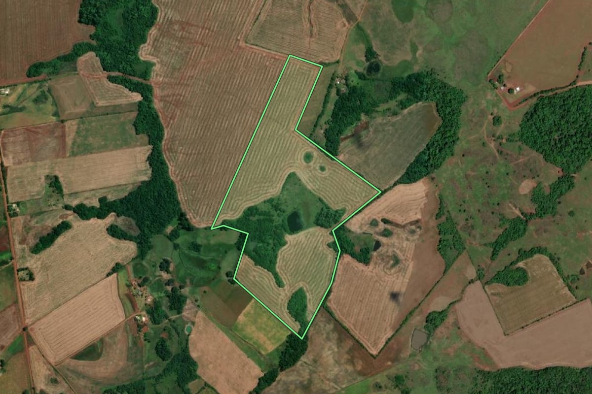 Imagem de satélite do imóvel rural em Rolador (RS), com o contorno declarado no CAR desenhado por cima.