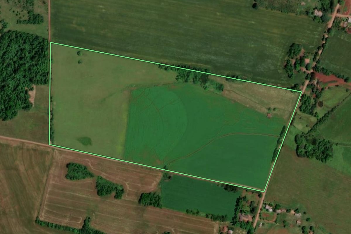 Imagem de satélite do imóvel rural em Rolador (RS), com o contorno declarado no CAR desenhado por cima.