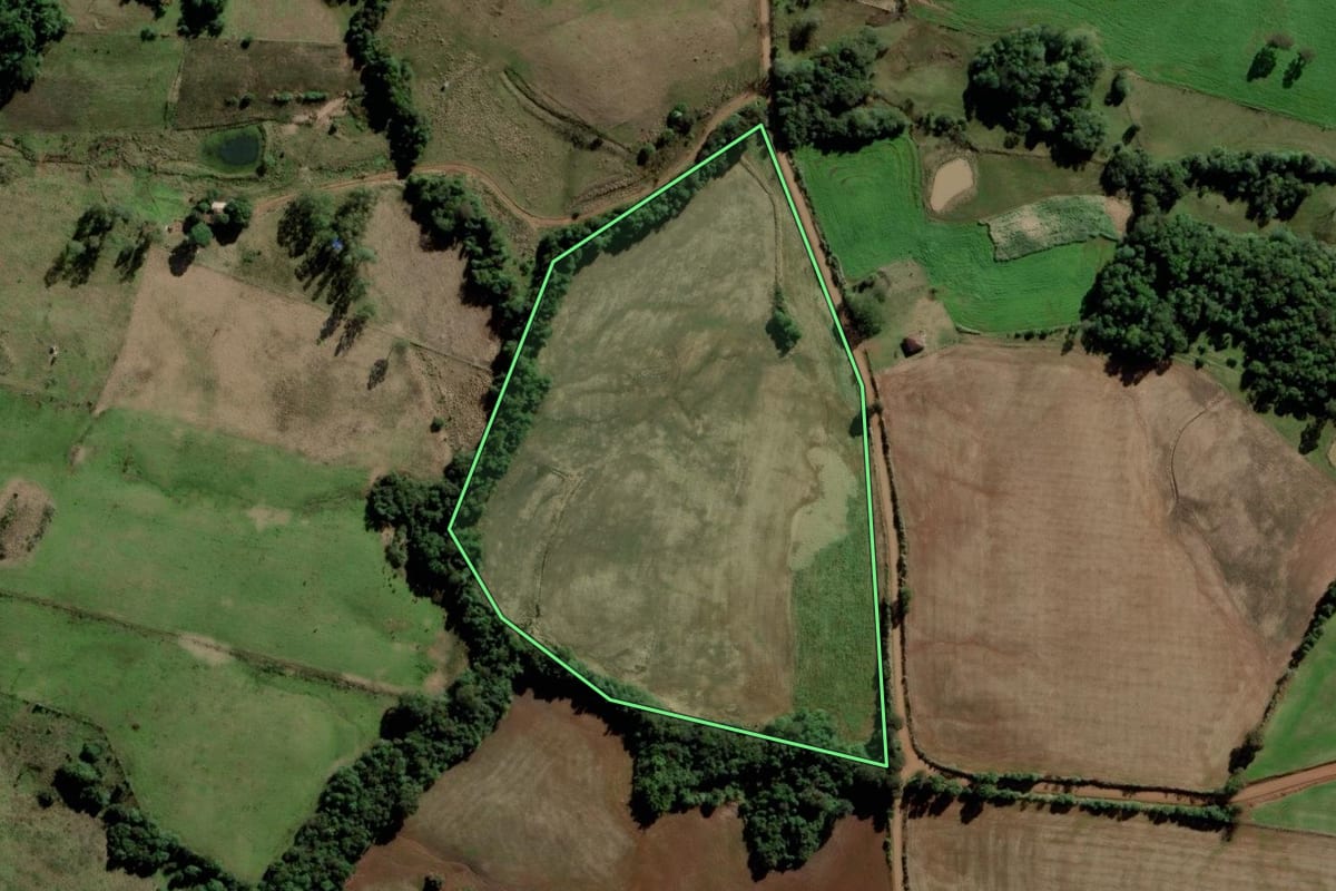 Imagem de satélite do imóvel rural em Rolador (RS), com o contorno declarado no CAR desenhado por cima.