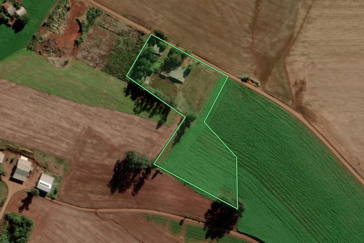 Imagem de satélite do imóvel rural em Rolador (RS), com o contorno declarado no CAR desenhado por cima.