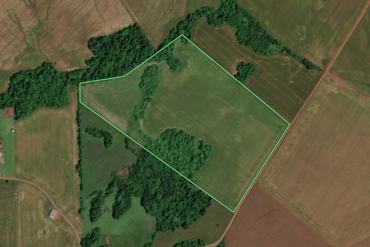 Imagem de satélite do imóvel rural em Rolador (RS), com o contorno declarado no CAR desenhado por cima.
