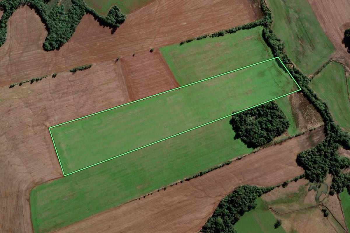 Imagem de satélite do imóvel rural em Rolador (RS), com o contorno declarado no CAR desenhado por cima.