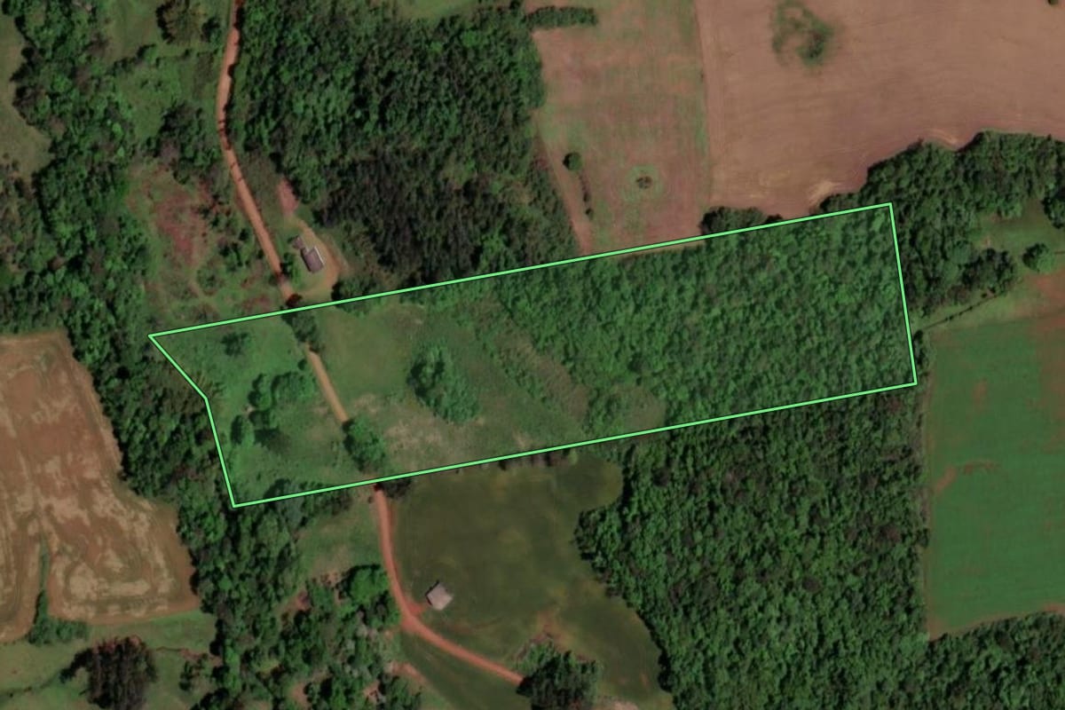 Imagem de satélite do imóvel rural em Rolador (RS), com o contorno declarado no CAR desenhado por cima.