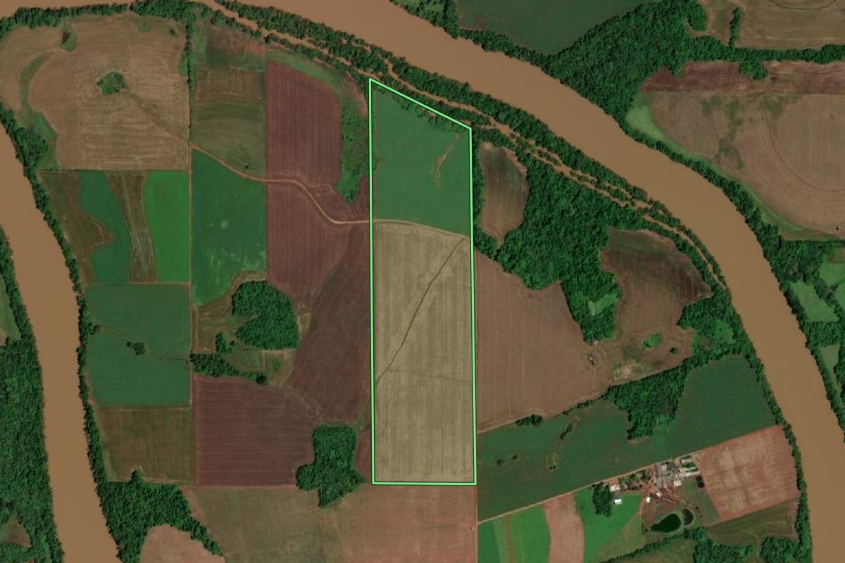 Imagem de satélite do imóvel rural em Rolador (RS), com o contorno declarado no CAR desenhado por cima.