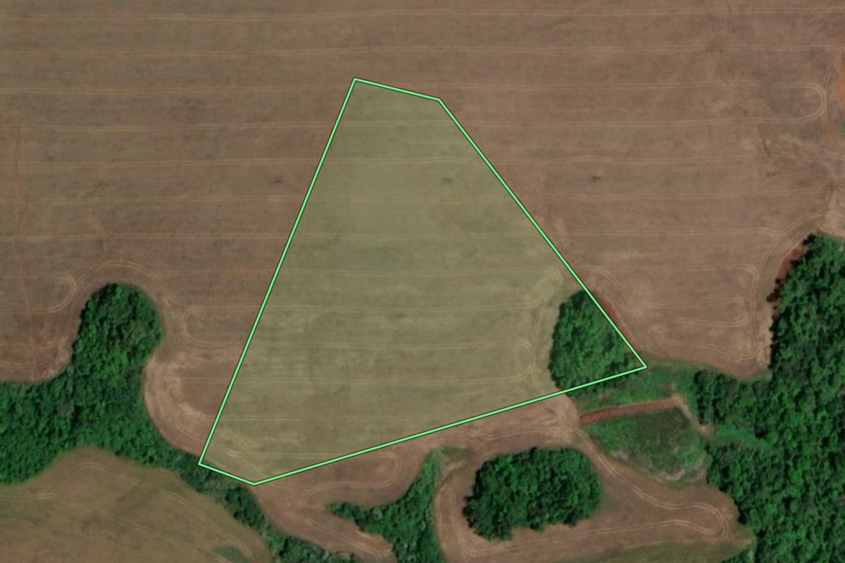 Imagem de satélite do imóvel rural em Rolador (RS), com o contorno declarado no CAR desenhado por cima.