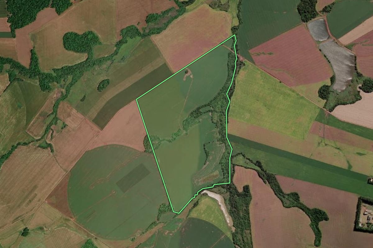 Imagem de satélite do imóvel rural em Rolador (RS), com o contorno declarado no CAR desenhado por cima.