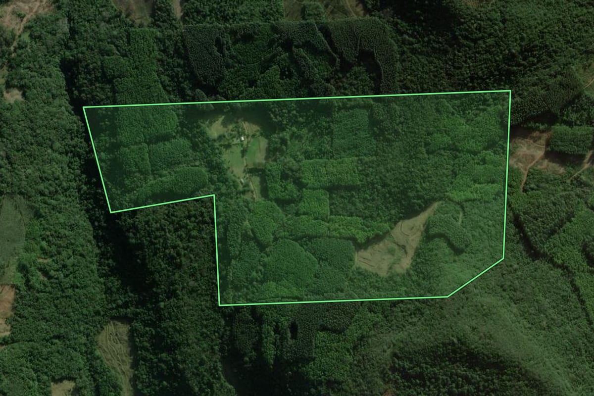 Imagem de satélite do imóvel rural em Rolante (RS), com o contorno declarado no CAR desenhado por cima.
