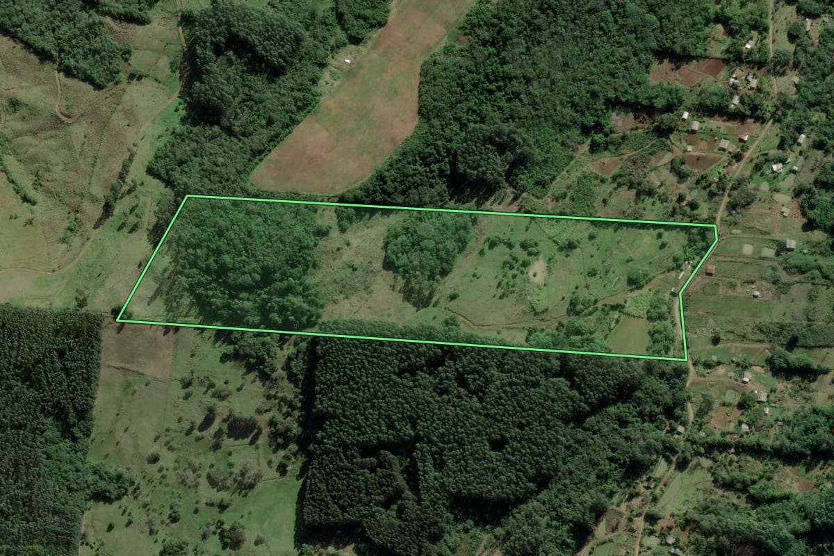 Imagem de satélite do imóvel rural em Rolante (RS), com o contorno declarado no CAR desenhado por cima.