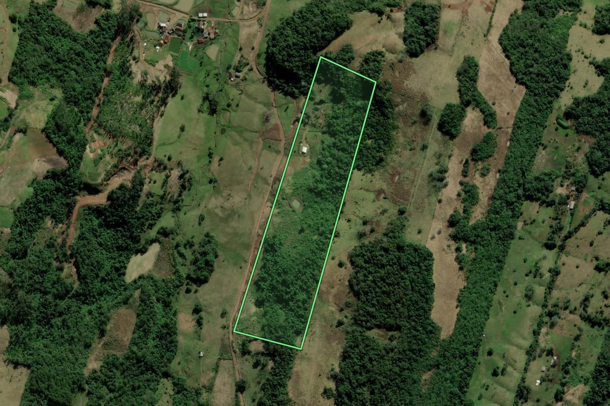 Imagem de satélite do imóvel rural em Rolante (RS), com o contorno declarado no CAR desenhado por cima.