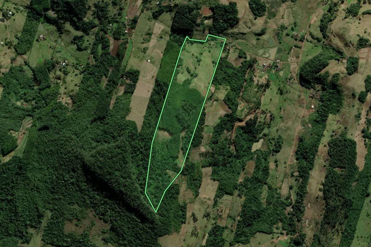 Imagem de satélite do imóvel rural em Rolante (RS), com o contorno declarado no CAR desenhado por cima.