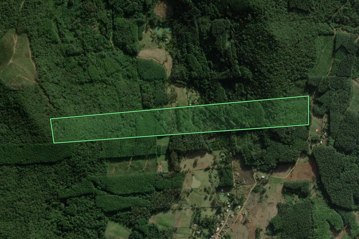 Imagem de satélite do imóvel rural em Rolante (RS), com o contorno declarado no CAR desenhado por cima.