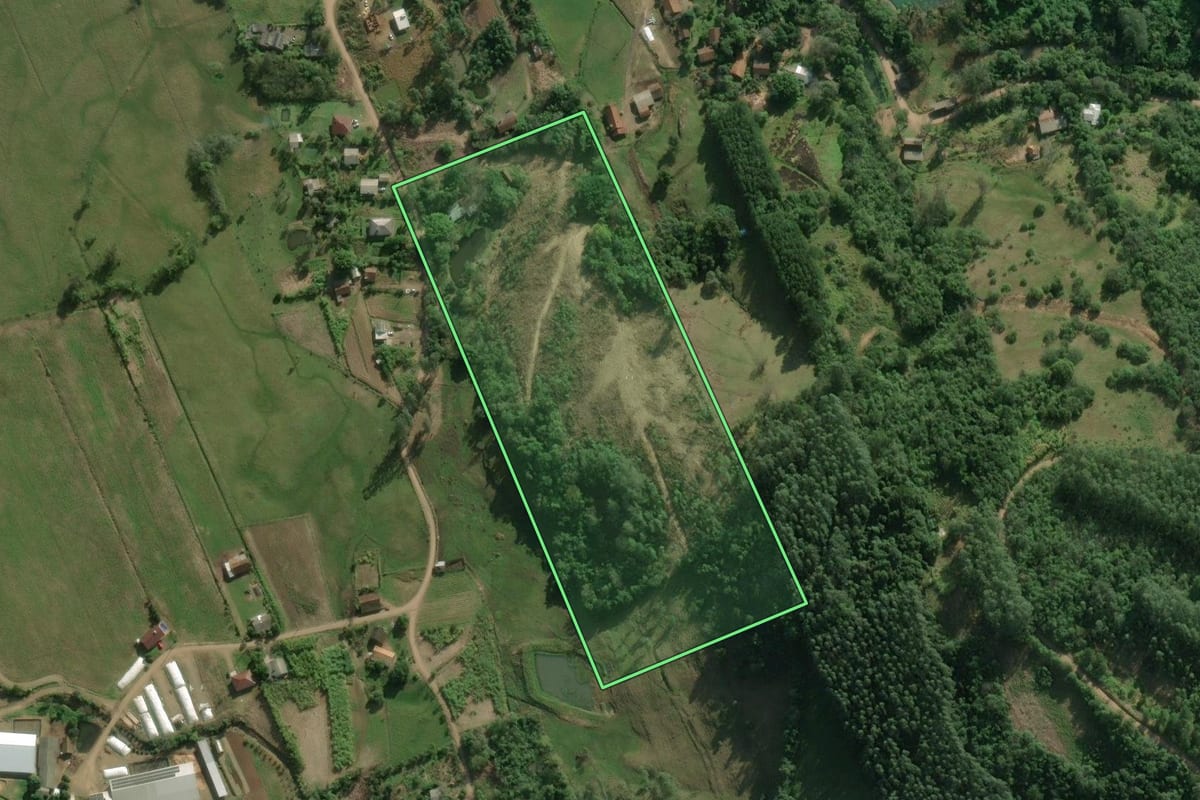 Imagem de satélite do imóvel rural em Rolante (RS), com o contorno declarado no CAR desenhado por cima.