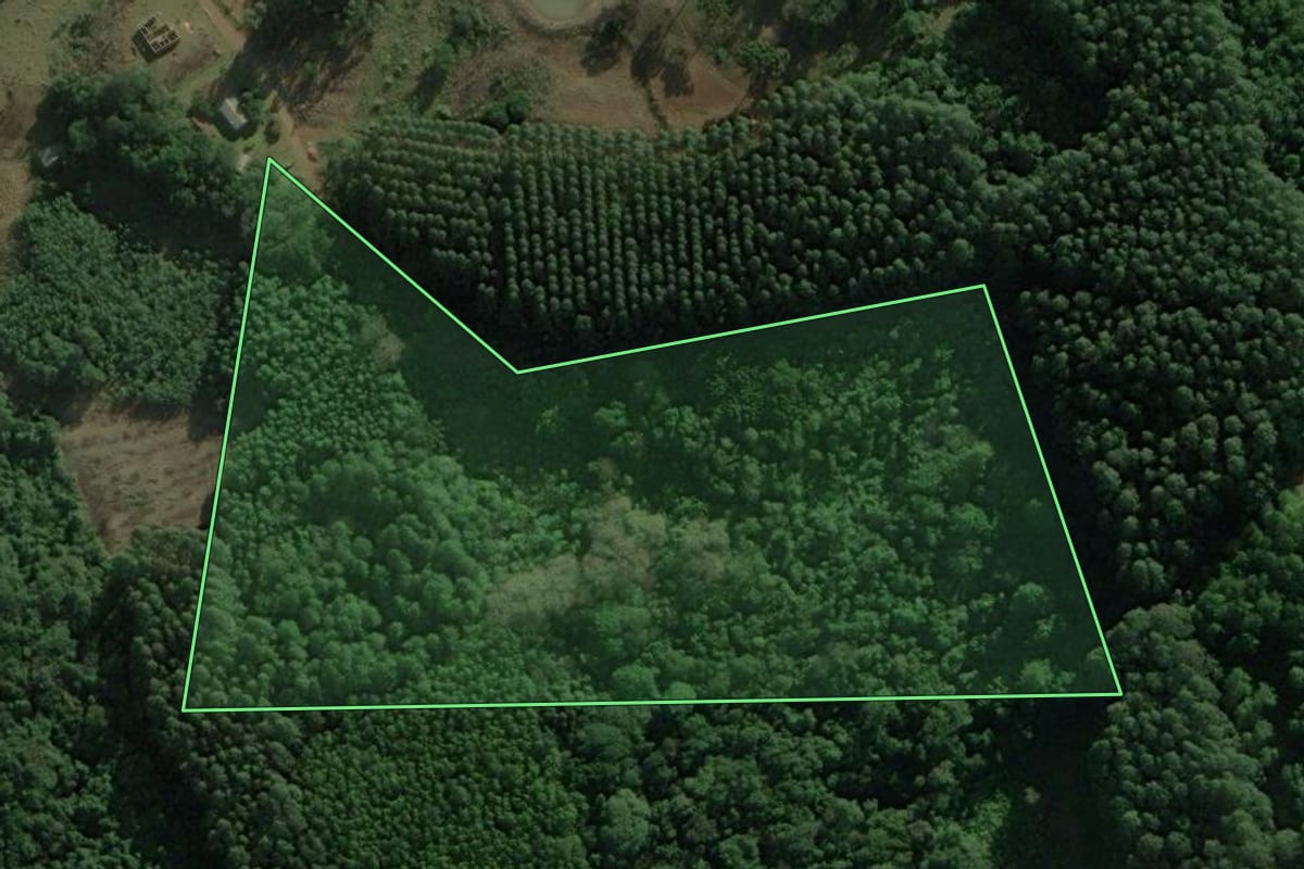 Imagem de satélite do imóvel rural em Rolante (RS), com o contorno declarado no CAR desenhado por cima.