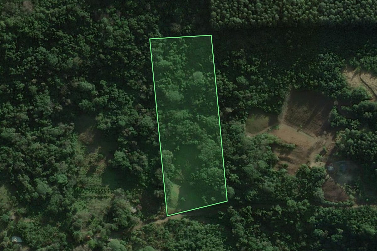 Imagem de satélite do imóvel rural em Rolante (RS), com o contorno declarado no CAR desenhado por cima.