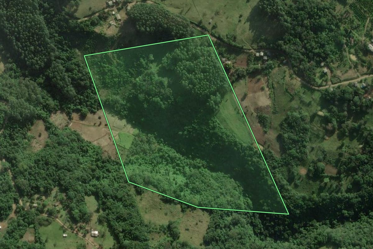 Imagem de satélite do imóvel rural em Rolante (RS), com o contorno declarado no CAR desenhado por cima.