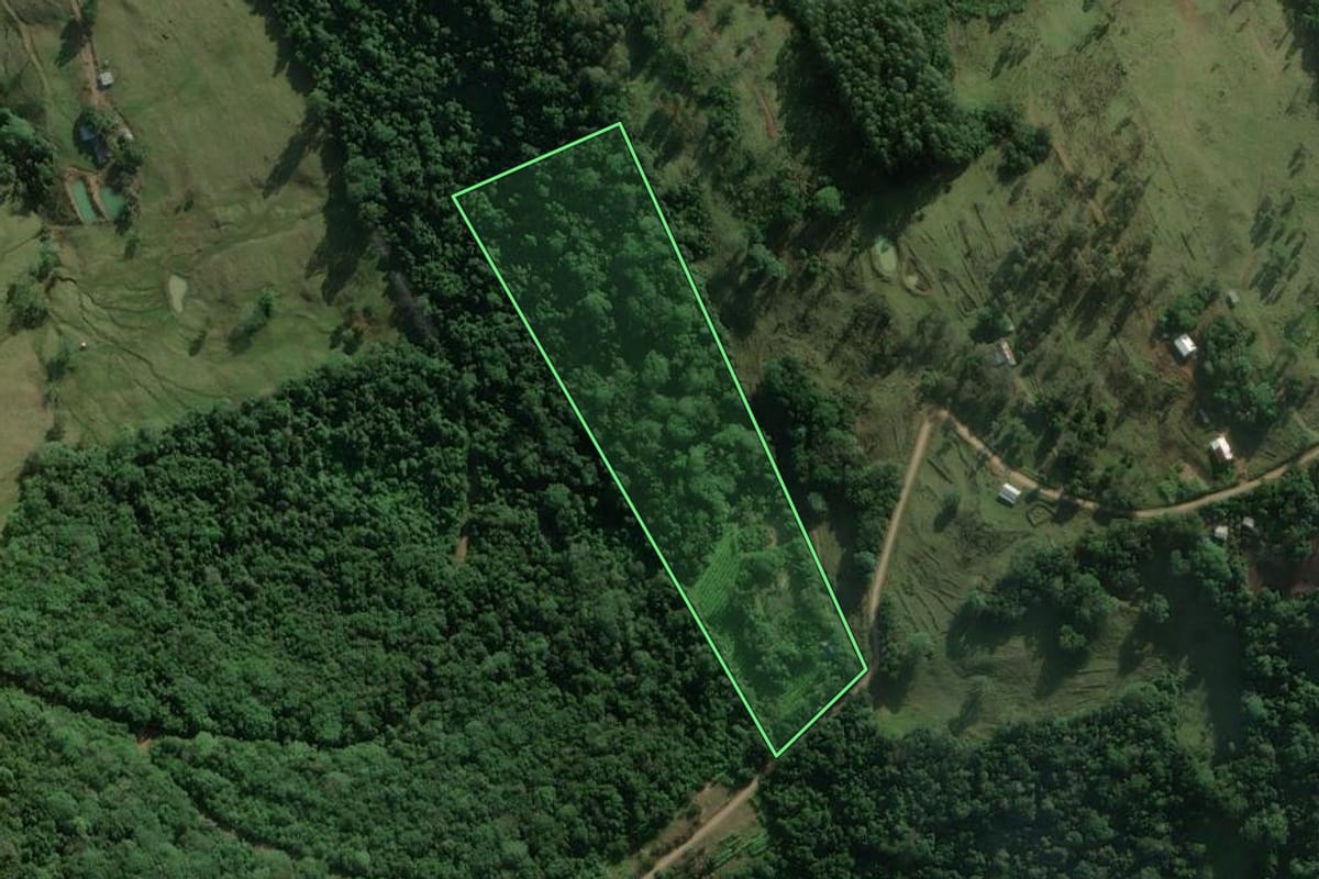 Imagem de satélite do imóvel rural em Rolante (RS), com o contorno declarado no CAR desenhado por cima.