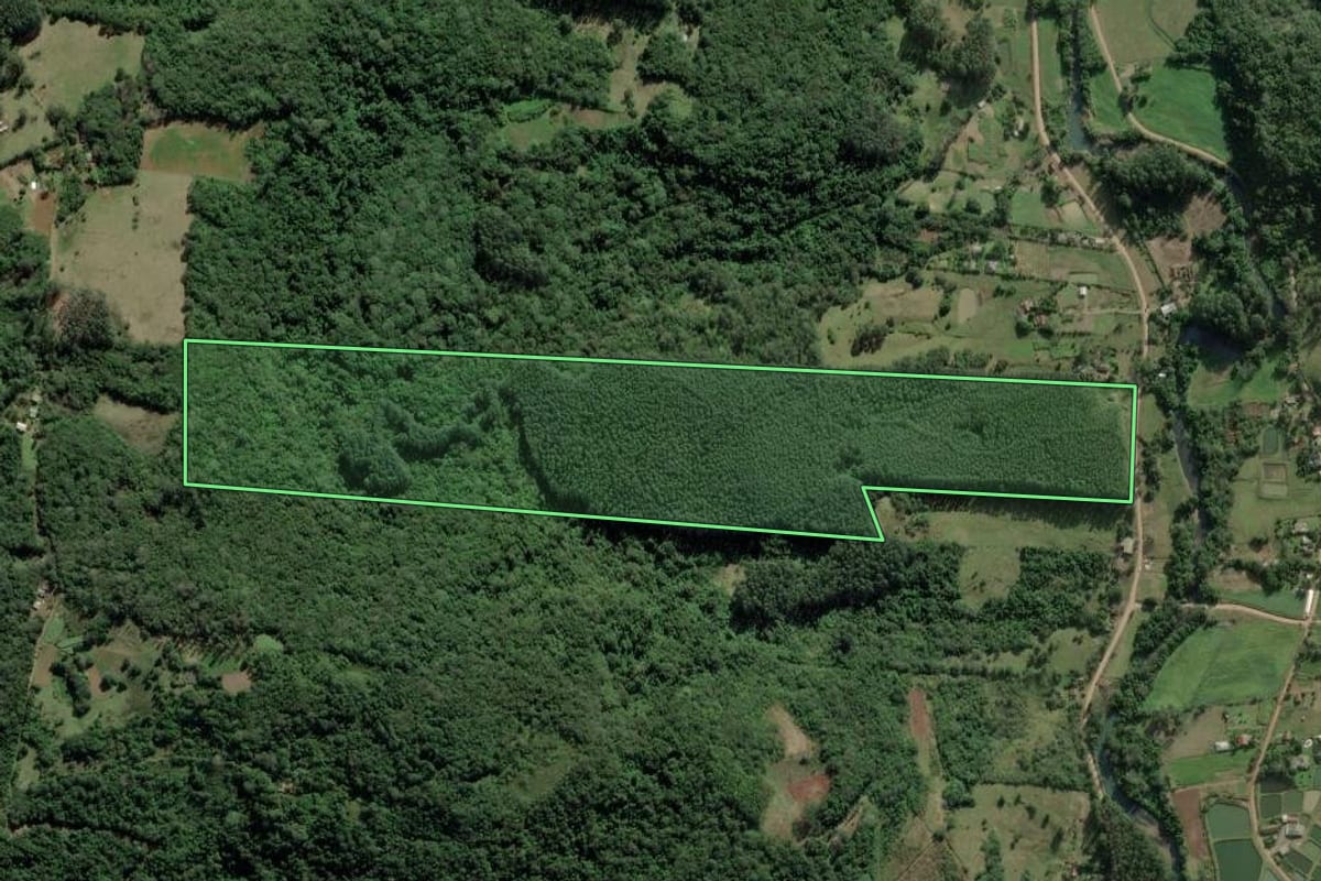 Imagem de satélite do imóvel rural em Rolante (RS), com o contorno declarado no CAR desenhado por cima.