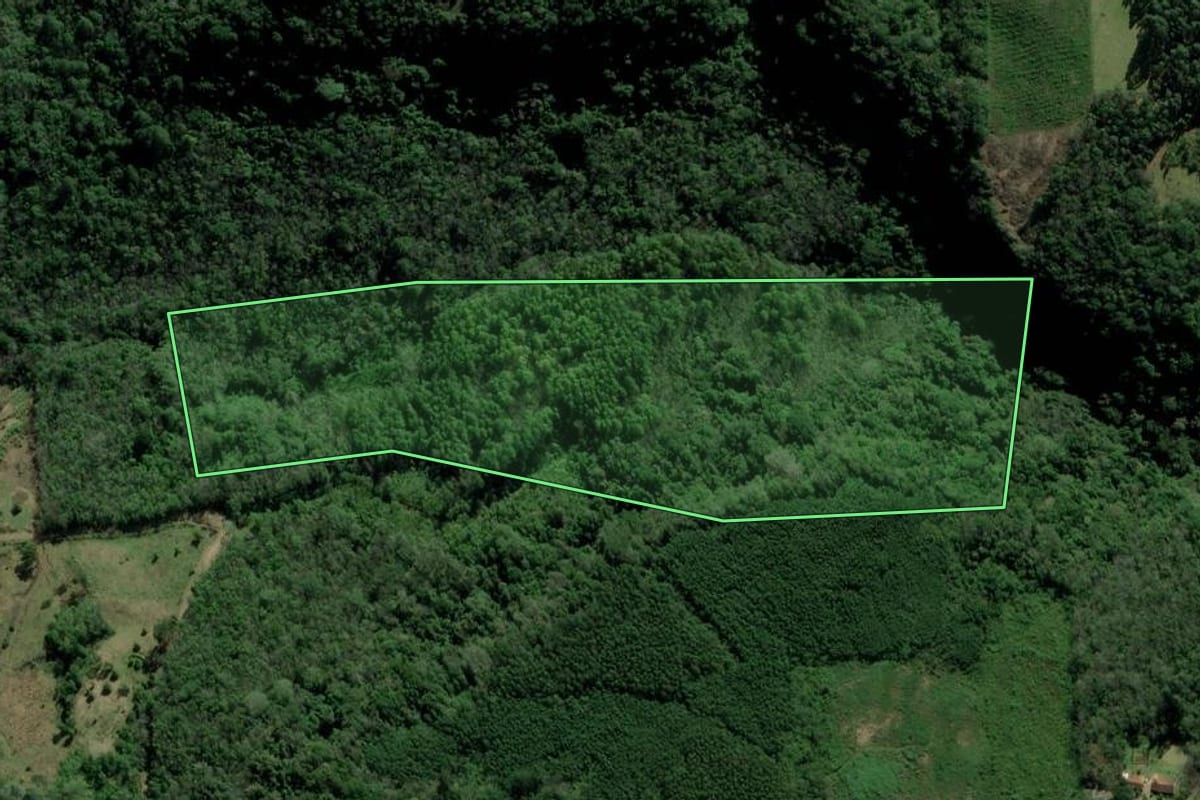 Imagem de satélite do imóvel rural em Rolante (RS), com o contorno declarado no CAR desenhado por cima.