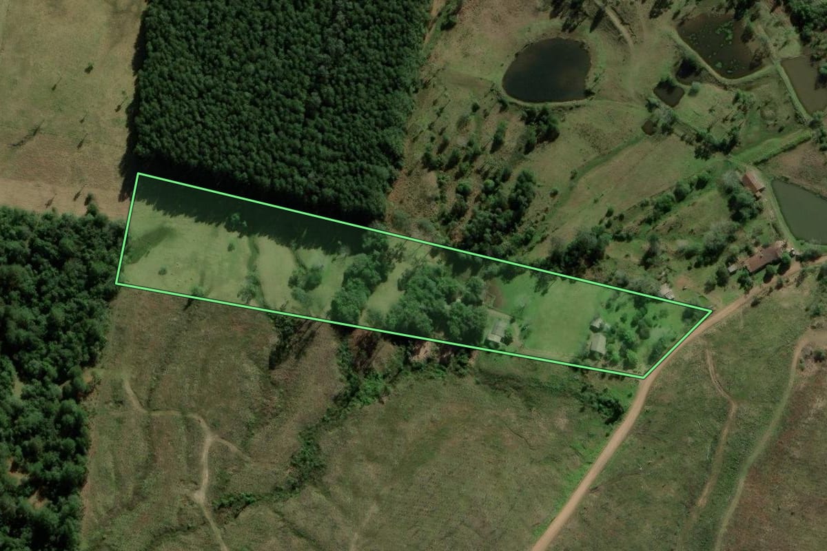 Imagem de satélite do imóvel rural em Rolante (RS), com o contorno declarado no CAR desenhado por cima.