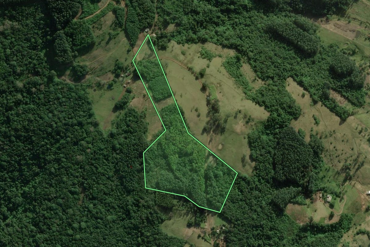 Imagem de satélite do imóvel rural em Rolante (RS), com o contorno declarado no CAR desenhado por cima.