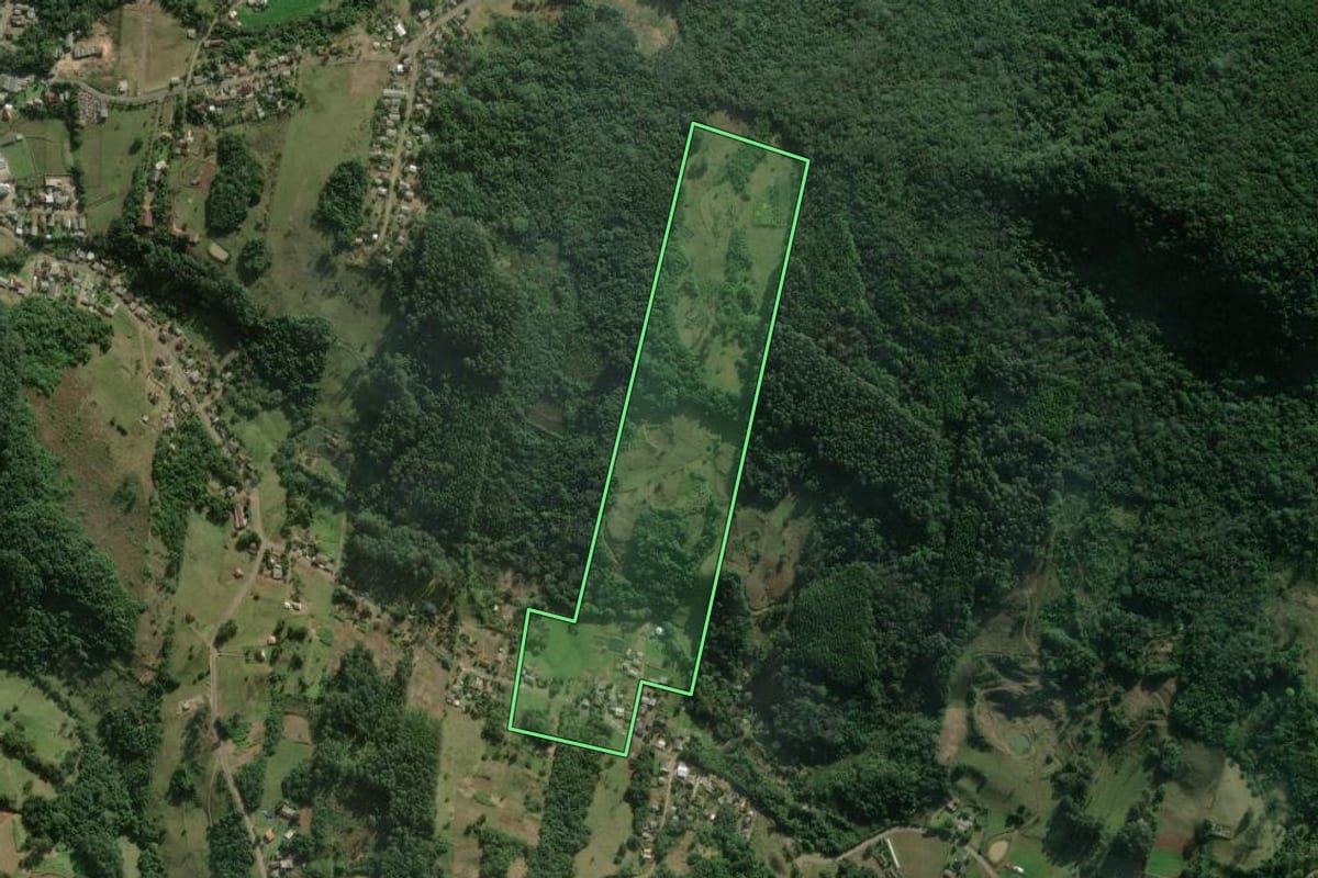 Imagem de satélite do imóvel rural em Rolante (RS), com o contorno declarado no CAR desenhado por cima.