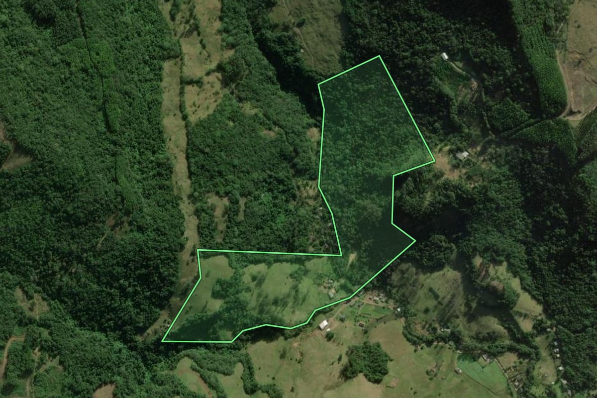 Imagem de satélite do imóvel rural em Rolante (RS), com o contorno declarado no CAR desenhado por cima.