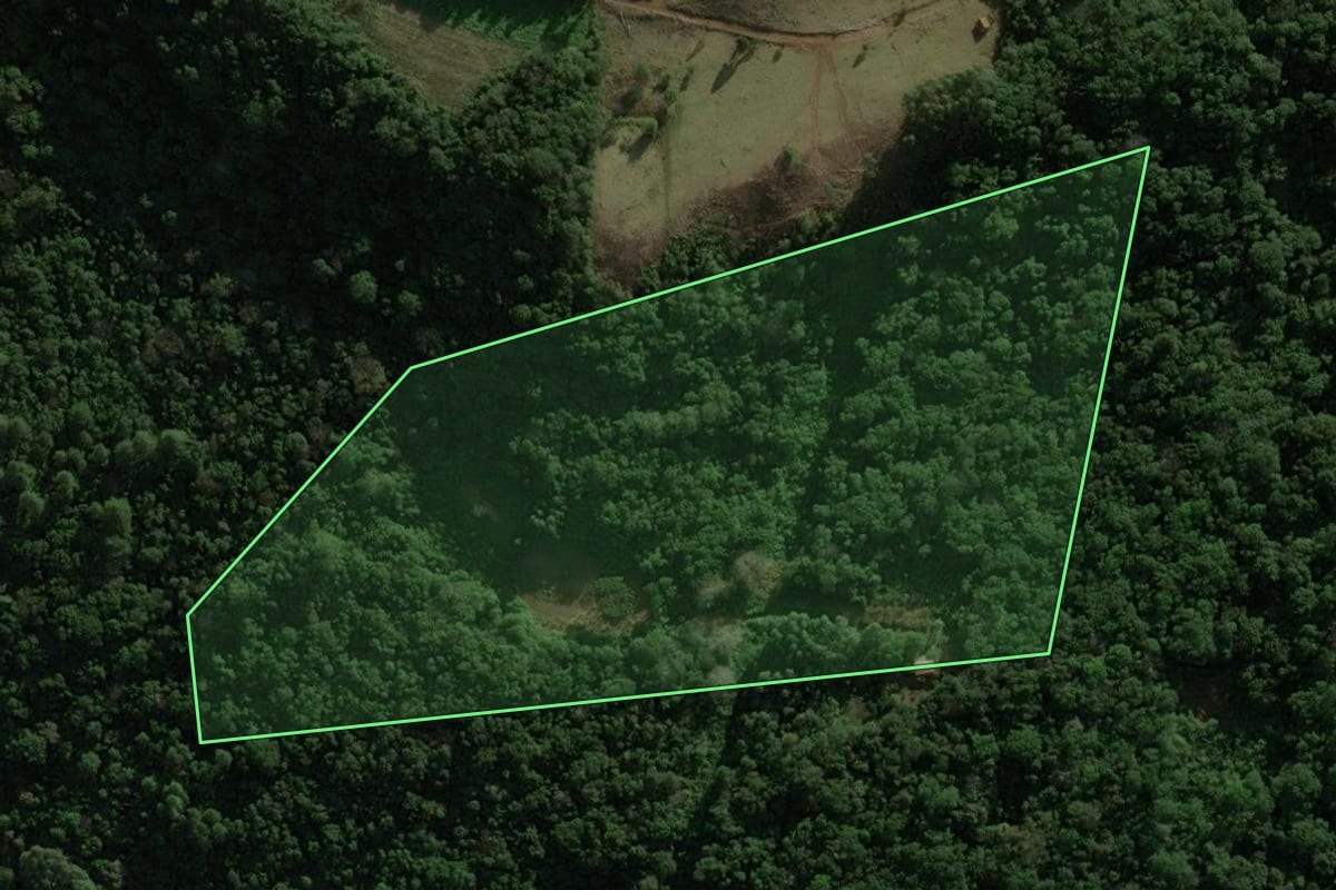 Imagem de satélite do imóvel rural em Rolante (RS), com o contorno declarado no CAR desenhado por cima.