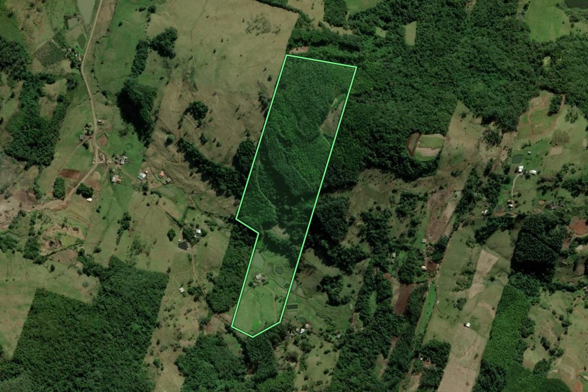 Imagem de satélite do imóvel rural em Rolante (RS), com o contorno declarado no CAR desenhado por cima.