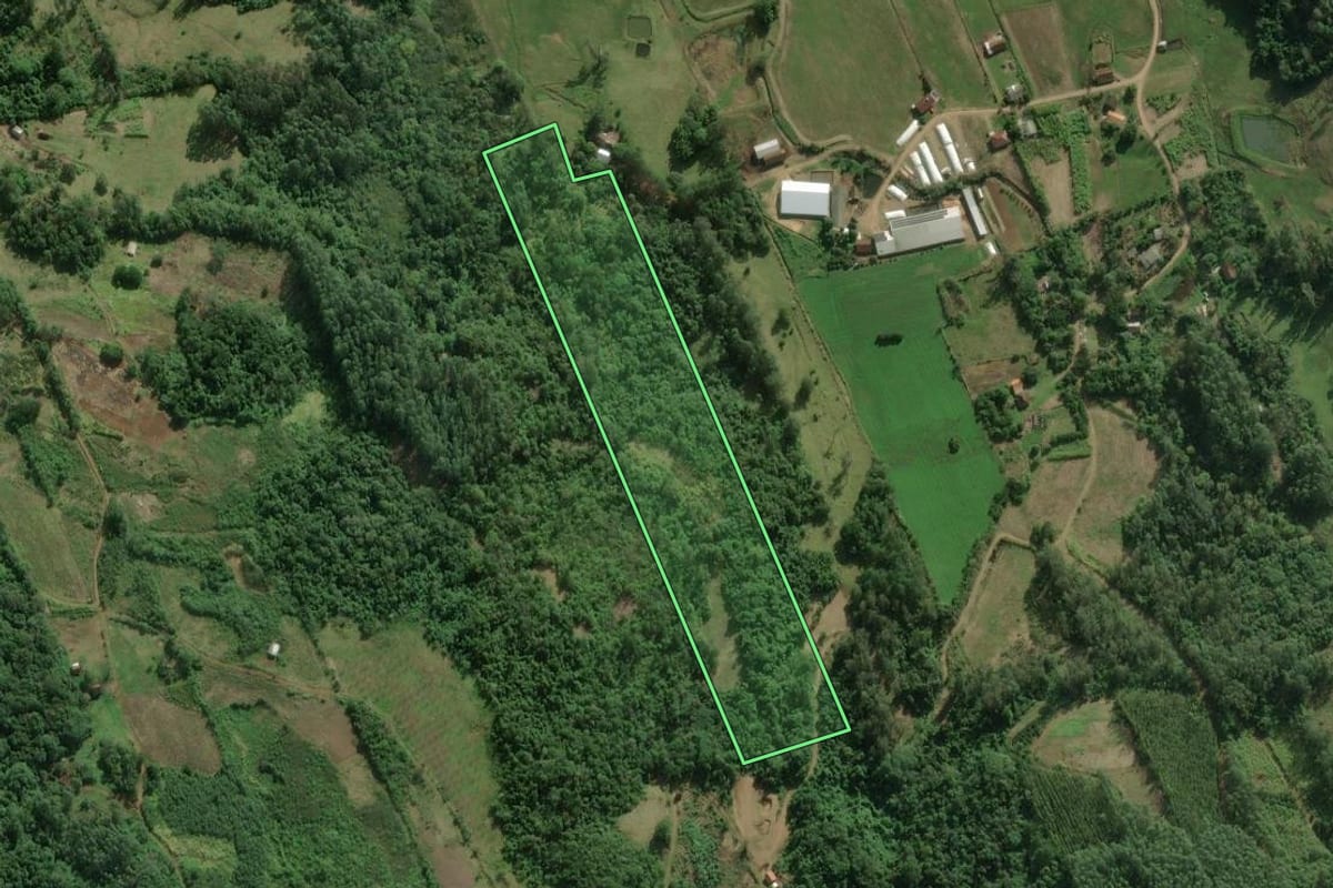 Imagem de satélite do imóvel rural em Rolante (RS), com o contorno declarado no CAR desenhado por cima.