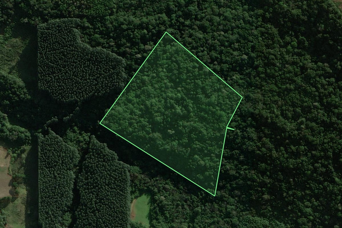 Imagem de satélite do imóvel rural em Rolante (RS), com o contorno declarado no CAR desenhado por cima.
