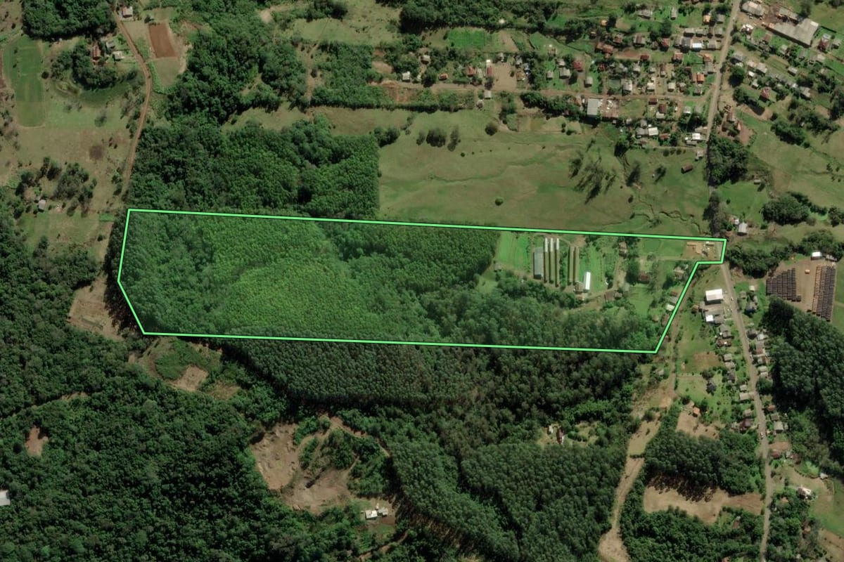 Imagem de satélite do imóvel rural em Rolante (RS), com o contorno declarado no CAR desenhado por cima.