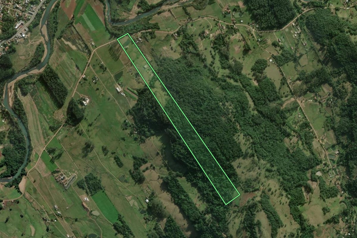 Imagem de satélite do imóvel rural em Rolante (RS), com o contorno declarado no CAR desenhado por cima.