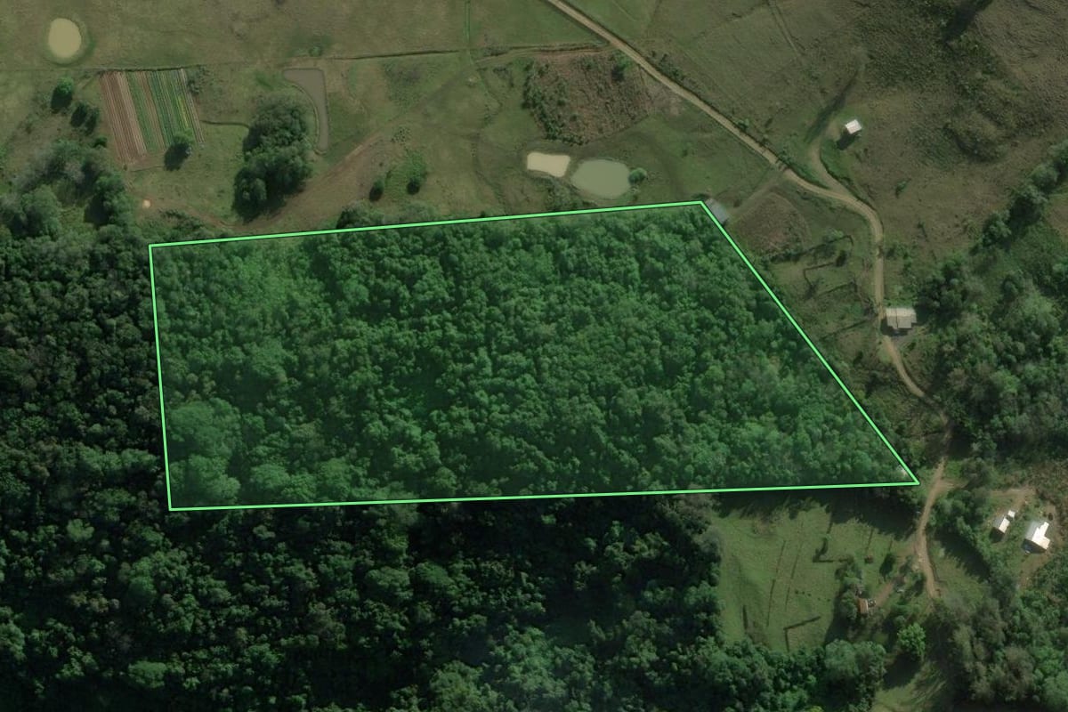 Imagem de satélite do imóvel rural em Rolante (RS), com o contorno declarado no CAR desenhado por cima.