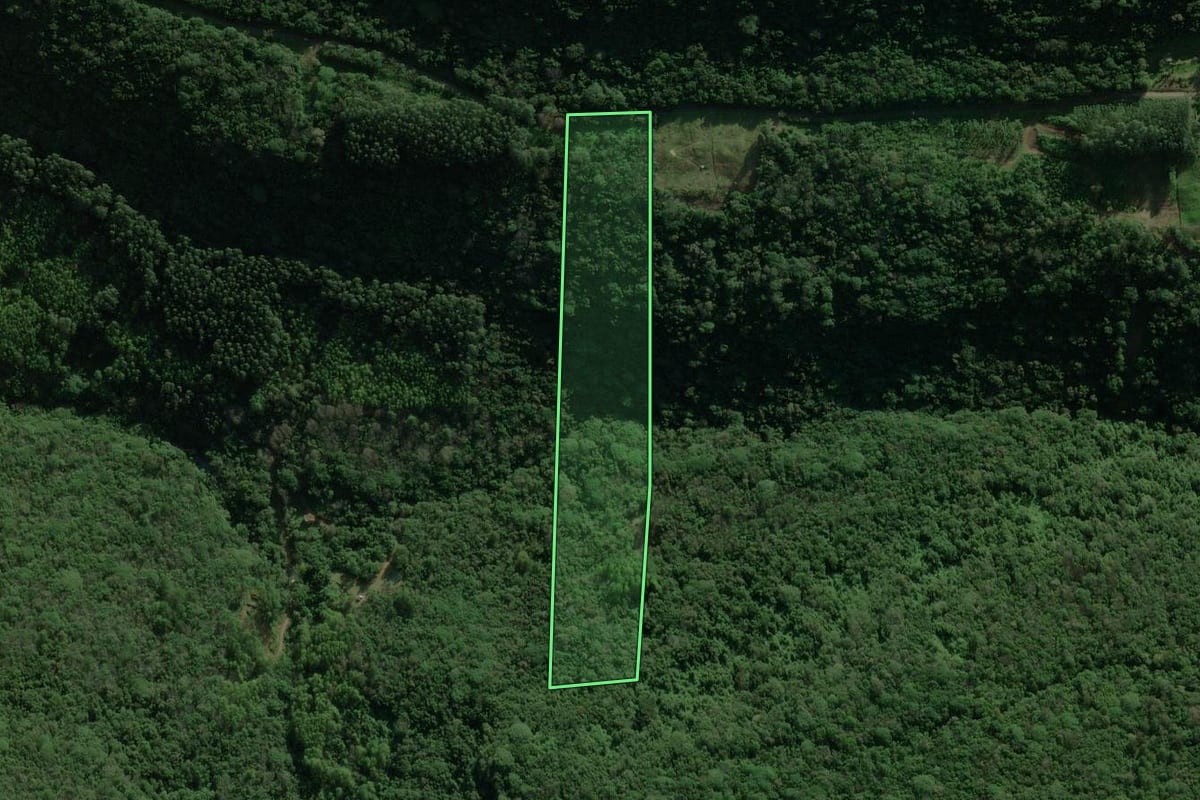 Imagem de satélite do imóvel rural em Rolante (RS), com o contorno declarado no CAR desenhado por cima.