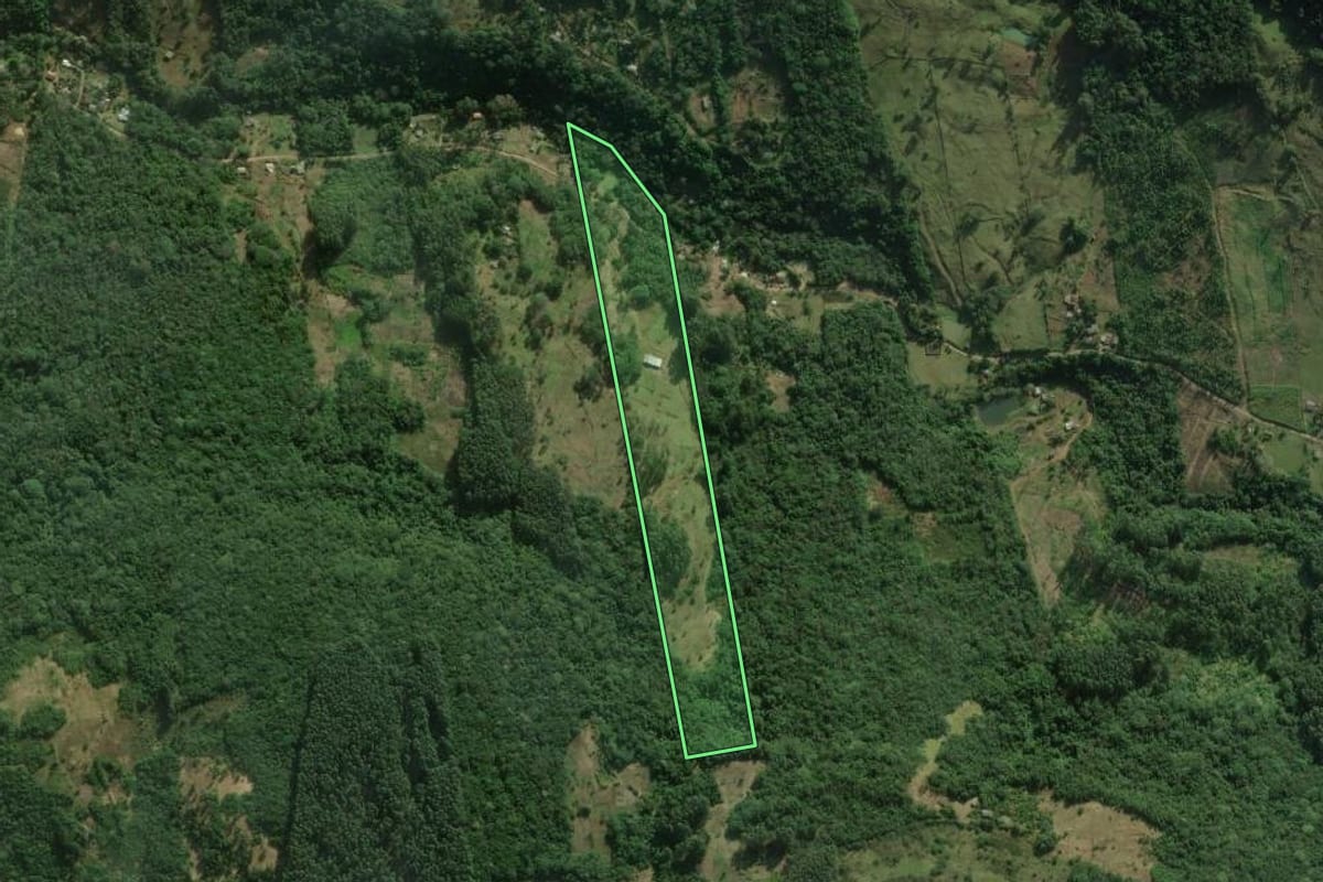 Imagem de satélite do imóvel rural em Rolante (RS), com o contorno declarado no CAR desenhado por cima.