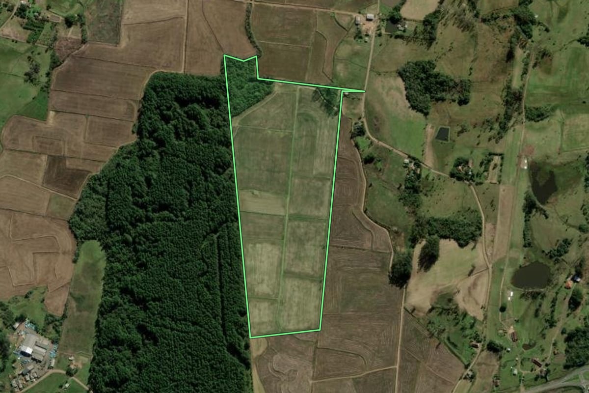 Imagem de satélite do imóvel rural em Rolante (RS), com o contorno declarado no CAR desenhado por cima.