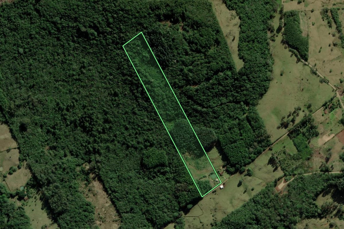 Imagem de satélite do imóvel rural em Rolante (RS), com o contorno declarado no CAR desenhado por cima.