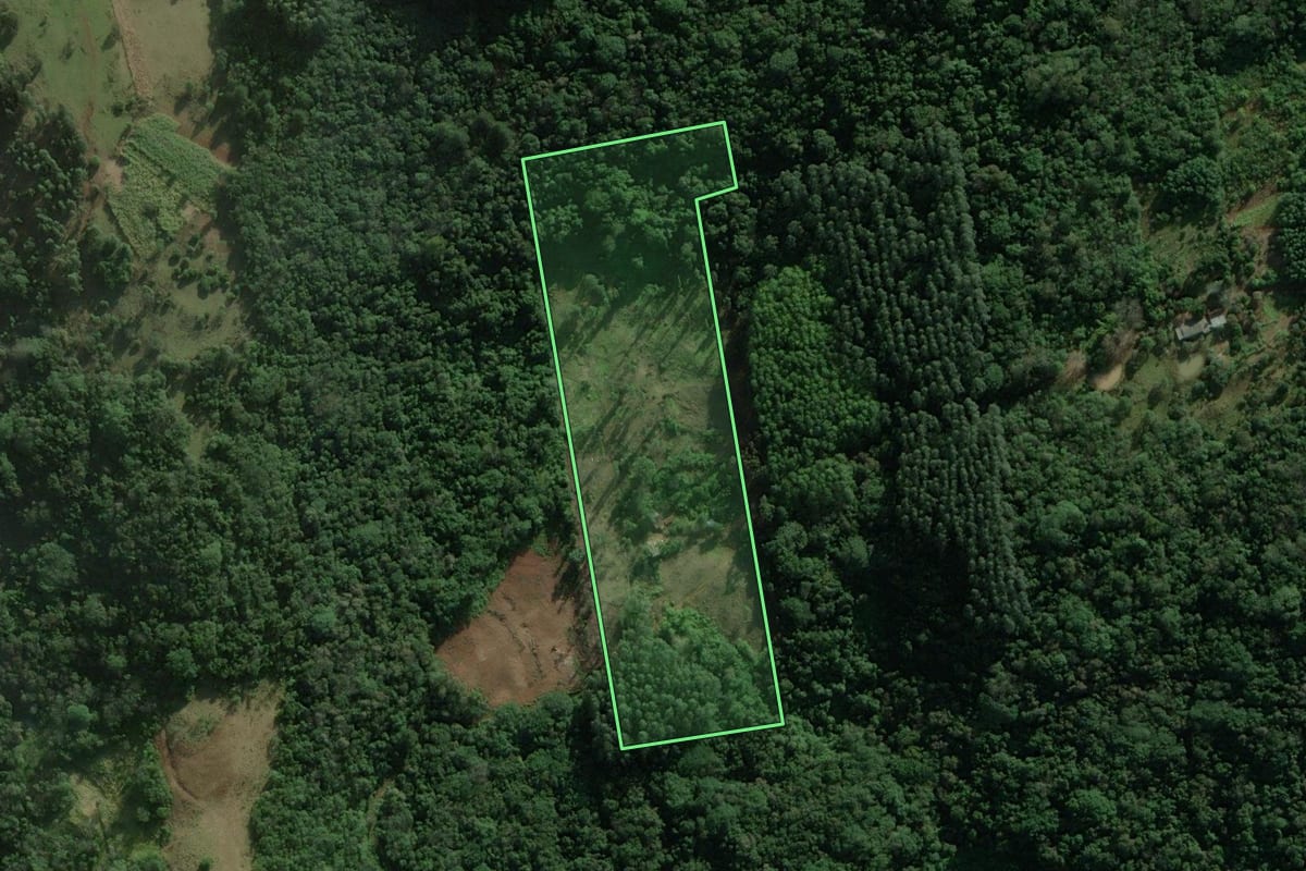 Imagem de satélite do imóvel rural em Rolante (RS), com o contorno declarado no CAR desenhado por cima.