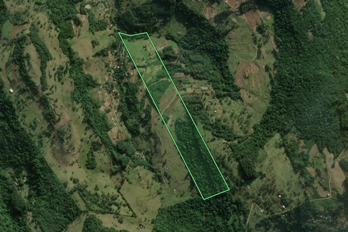 Imagem de satélite do imóvel rural em Rolante (RS), com o contorno declarado no CAR desenhado por cima.