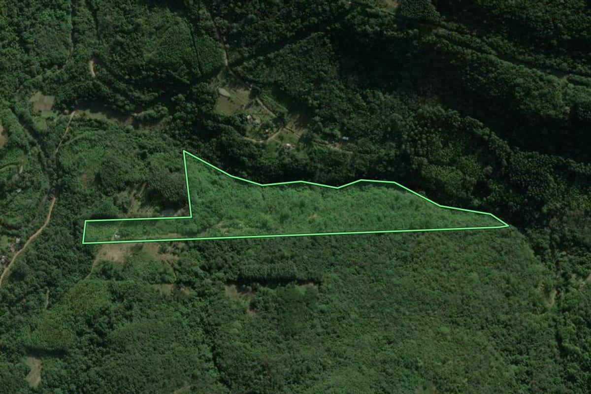 Imagem de satélite do imóvel rural em Rolante (RS), com o contorno declarado no CAR desenhado por cima.