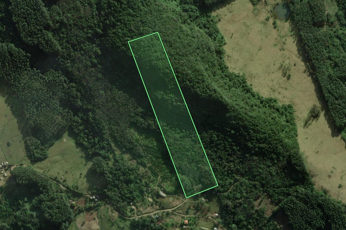 Imagem de satélite do imóvel rural em Rolante (RS), com o contorno declarado no CAR desenhado por cima.