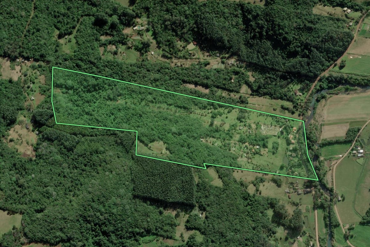 Imagem de satélite do imóvel rural em Rolante (RS), com o contorno declarado no CAR desenhado por cima.