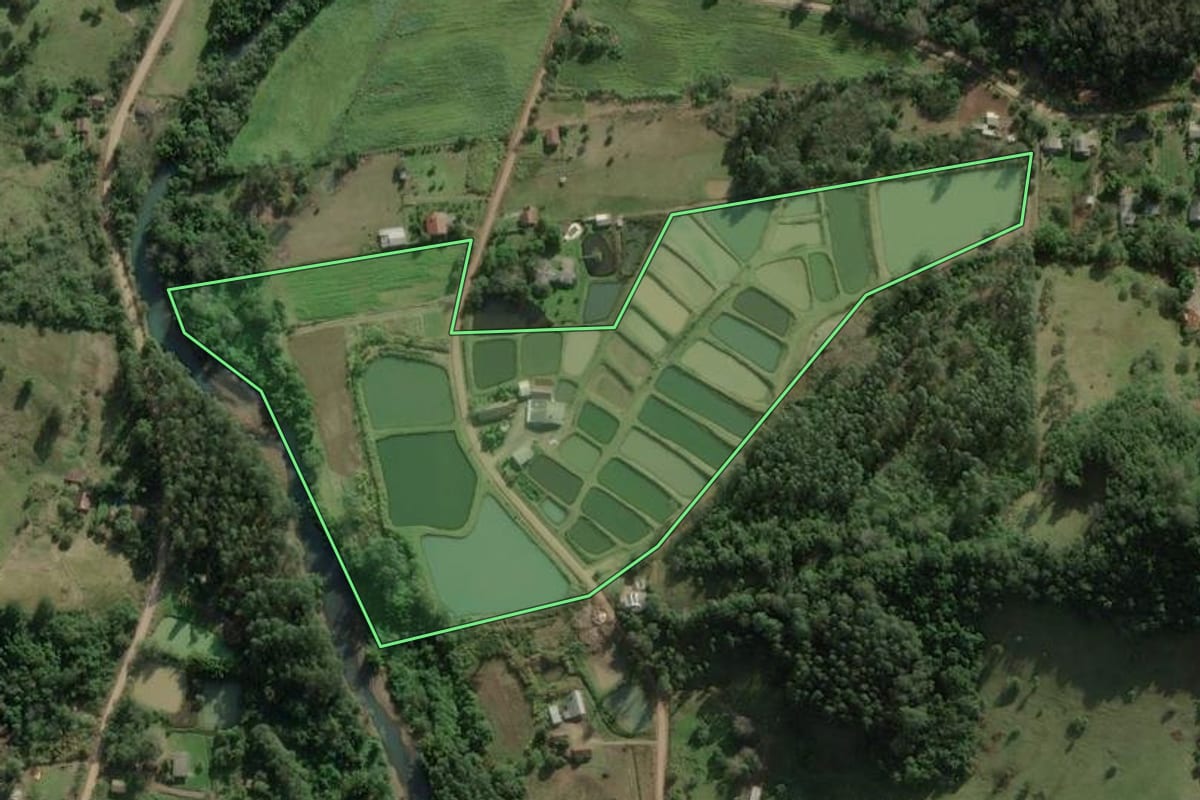 Imagem de satélite do imóvel rural em Rolante (RS), com o contorno declarado no CAR desenhado por cima.