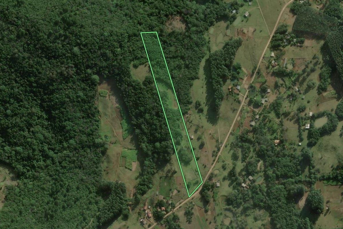 Imagem de satélite do imóvel rural em Rolante (RS), com o contorno declarado no CAR desenhado por cima.