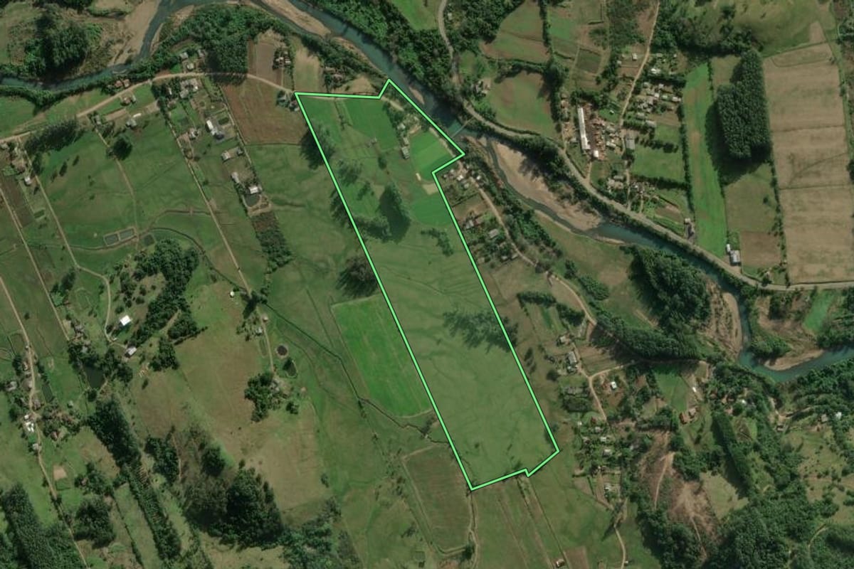 Imagem de satélite do imóvel rural em Rolante (RS), com o contorno declarado no CAR desenhado por cima.