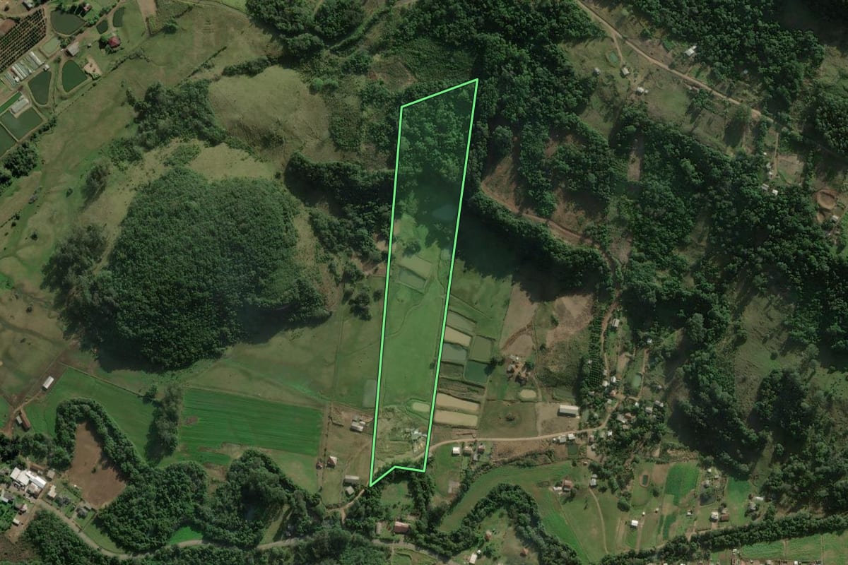 Imagem de satélite do imóvel rural em Rolante (RS), com o contorno declarado no CAR desenhado por cima.