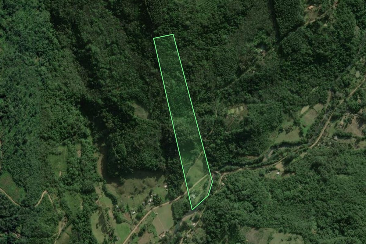 Imagem de satélite do imóvel rural em Rolante (RS), com o contorno declarado no CAR desenhado por cima.