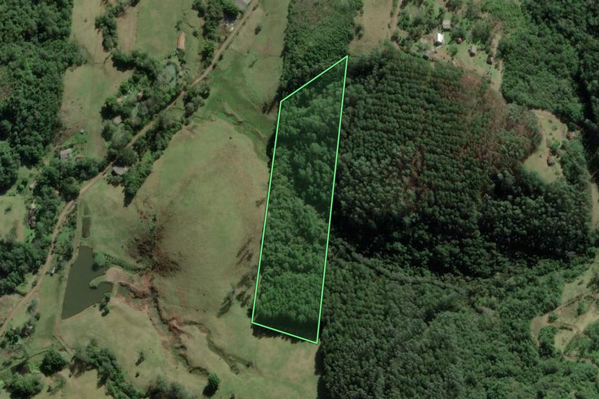 Imagem de satélite do imóvel rural em Rolante (RS), com o contorno declarado no CAR desenhado por cima.