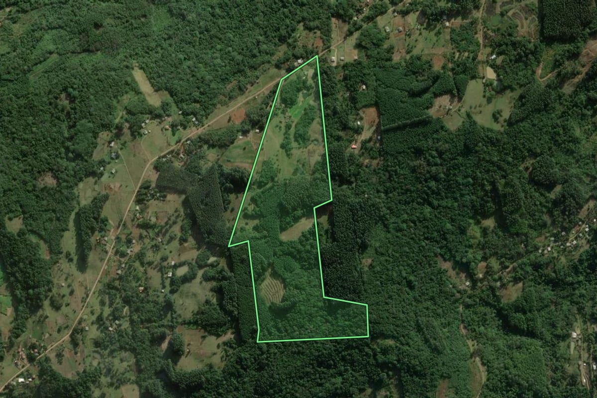 Imagem de satélite do imóvel rural em Rolante (RS), com o contorno declarado no CAR desenhado por cima.